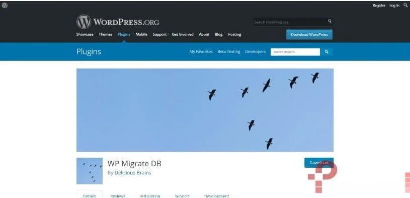 WordPress Migrate DB Pro