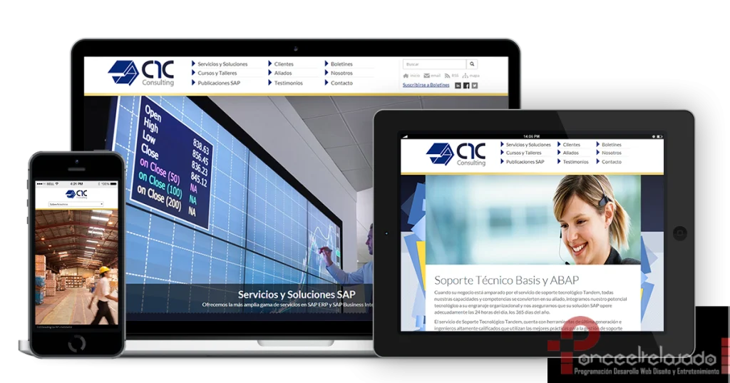 C1C Consulting