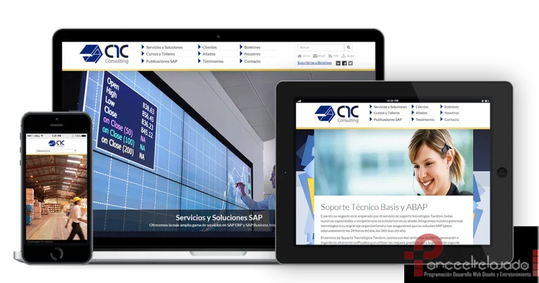 C1C Consulting