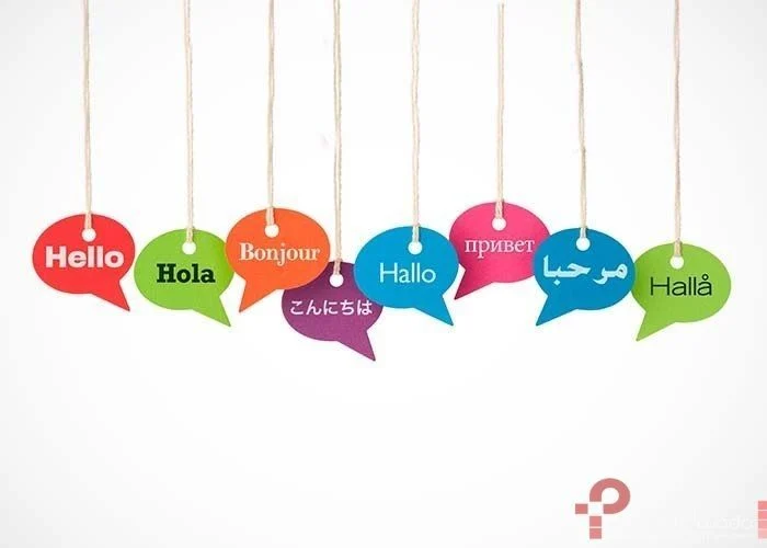 Traducir Temas o plugins WordPress