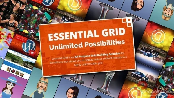 Filtrar haciendo uso de Essential Grid