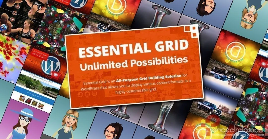 Filtrar haciendo uso de Essential Grid
