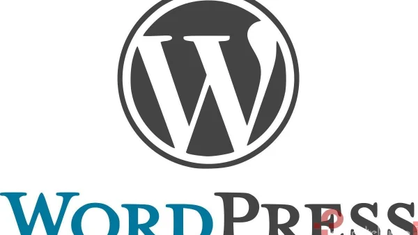 Optimizar Sitios Wordpress