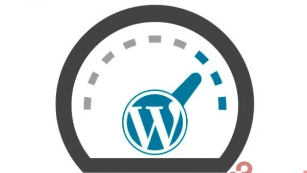 Optimizar Base de datos wordpress