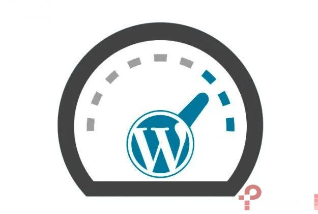 Optimizar Base de datos wordpress