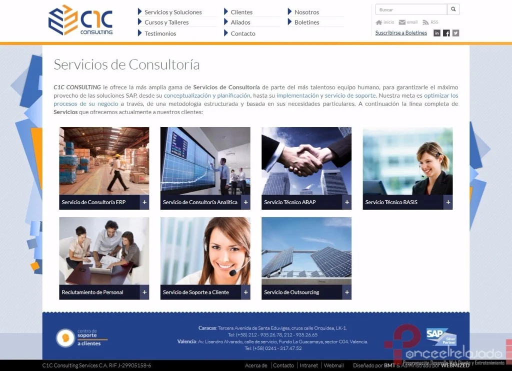 C1C Consulting: captura 2