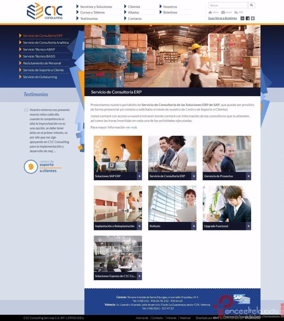 C1C Consulting: captura 3