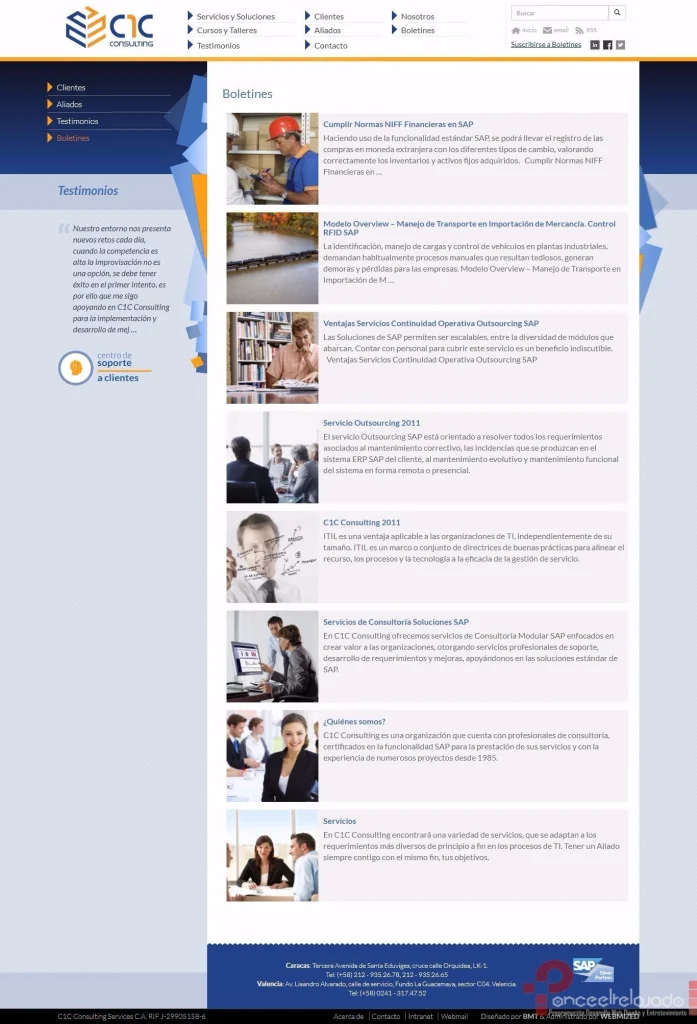 C1C Consulting: captura 5