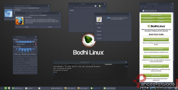 BodhiLinux ScreenShot